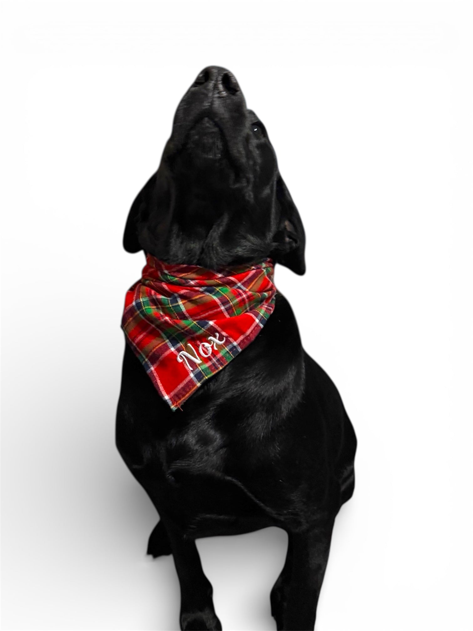 Custom Embroidery Request